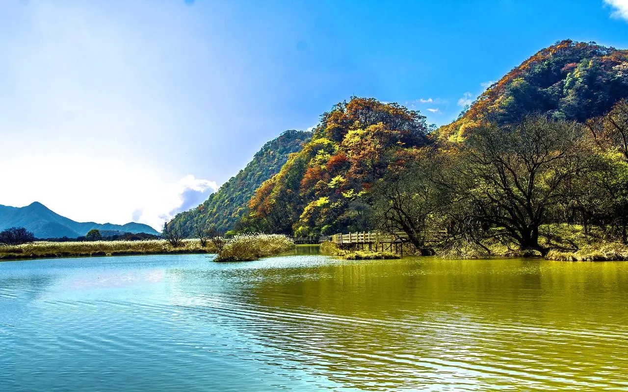 高精度高性能电子